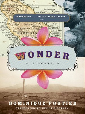 Wonder - ebook